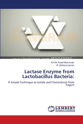 Lactase Enzyme from Lactobacillus Bacteria: