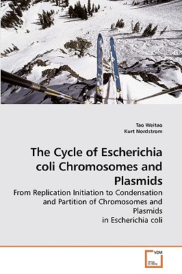 The Cycle of Escherichia coli Chromosomes             and Plasmids