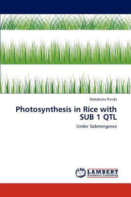 Photosynthesis in Rice with Sub 1 Qtl