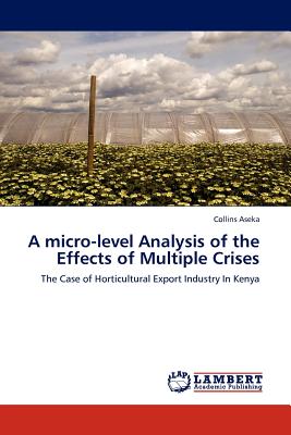 A Micro-Level Analysis of the Effects of Multiple Crises