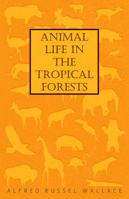 Animal Life in the Tropical Forests