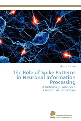 The Role of Spike Patterns in Neuronal Information Processing