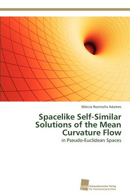 Spacelike Self-Similar Solutions of the Mean Curvature Flow