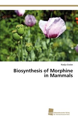Biosynthesis of Morphine in Mammals