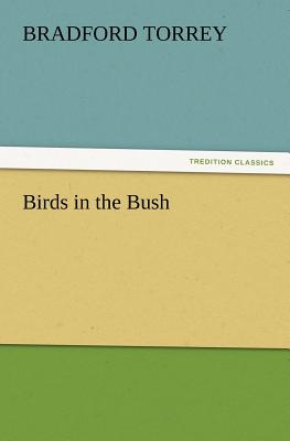 Birds in the Bush