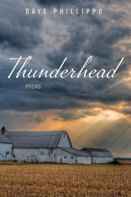 غلاف كتاب Thunderhead