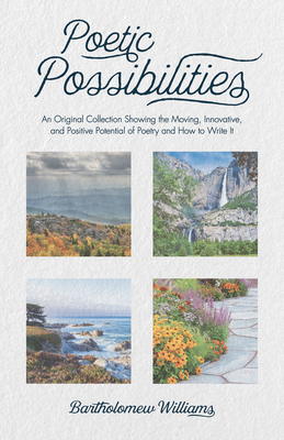 غلاف كتاب Poetic Possibilities