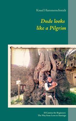 Dude looks like a Pilgrim:El Camino for Beginners: The Way of Saint James from Leon to Santiago
