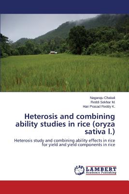 Heterosis and combining ability studies in rice (oryza sativa l.)