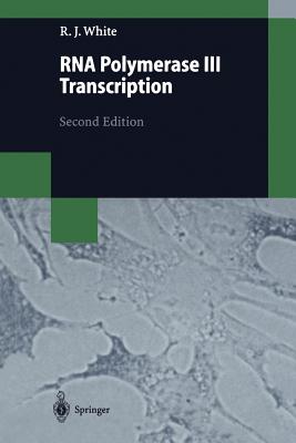 RNA Polymerase III Transcription