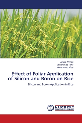 Effect of Foliar Application of Silicon and Boron on Rice