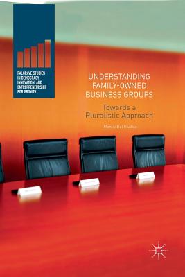 Understanding Family-Owned Business Groups : Towards a Pluralistic Approach