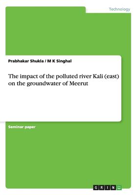 The impact of the polluted river Kali (east) on the groundwater of Meerut