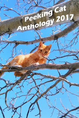 غلاف كتاب Peeking Cat Anthology 2017