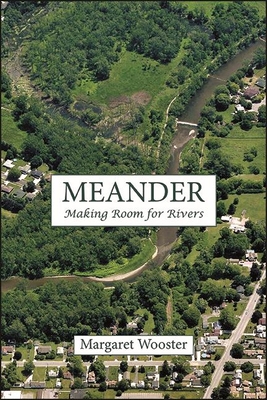 Meander : Making Room for Rivers