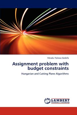 assignment problem with budget