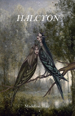 غلاف كتاب Halcyon