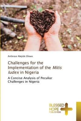 Challenges for the Implementation of the Mitis Iudex in Nigeria