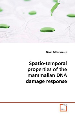 Spatio-temporal properties of the mammalian DNA damage response