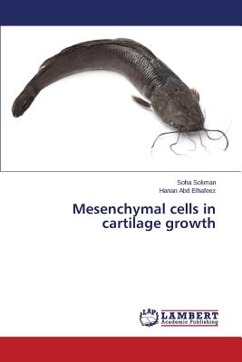 Mesenchymal cells in cartilage growth