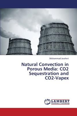 Natural Convection in Porous Media: Co2 Sequestration and Co2-Vapex