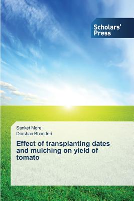 Effect of transplanting dates and mulching on  yield of tomato