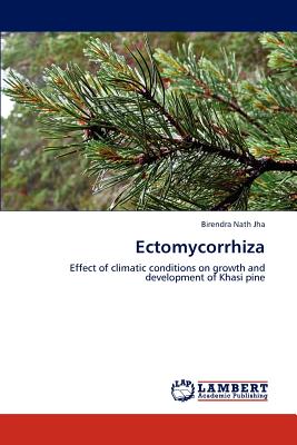 Ectomycorrhiza