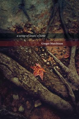 غلاف كتاب a scrap of linen, a bone