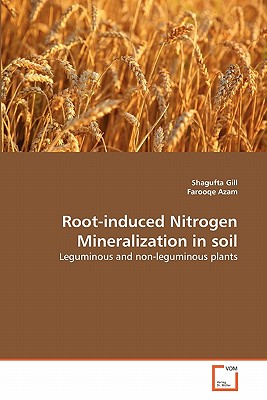 Root-induced Nitrogen Mineralization in soil