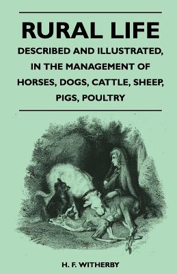 Rural Life - Described and Illustrated, in the Management of Horses, Dogs, Cattle, Sheep, Pigs, Poultry