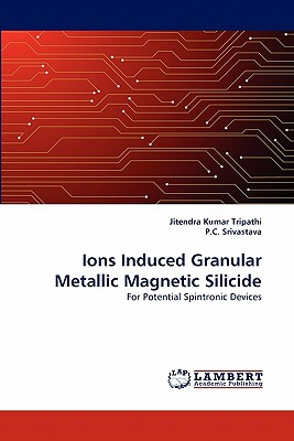 Ions Induced Granular Metallic Magnetic Silicide