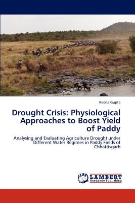 Drought Crisis: Physiological Approaches to Boost Yield of Paddy